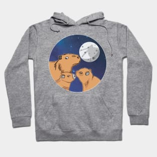 Three Capybara Moon Funny Pelican Capybara Wolf meme Hoodie